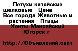 Петухи китайские шелковые › Цена ­ 1 000 - Все города Животные и растения » Птицы   . Ханты-Мансийский,Югорск г.